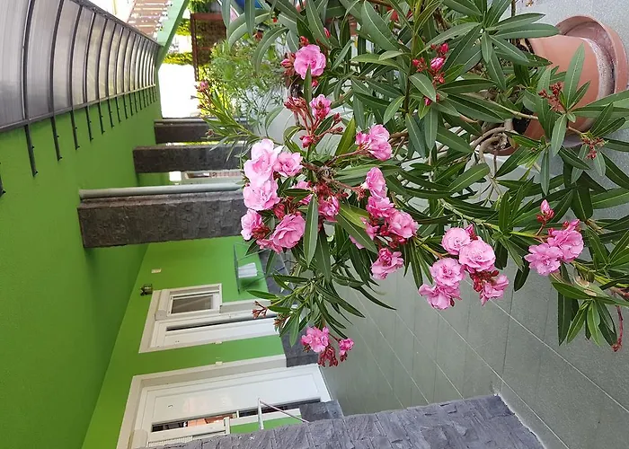 Taktik Veľký Meder